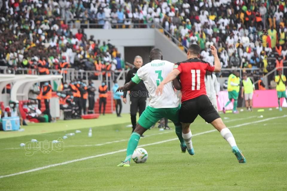 مصر والسنغال (14)