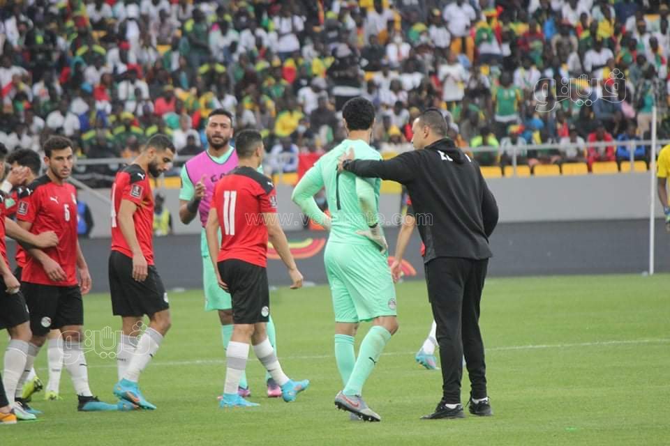 مصر والسنغال (22)