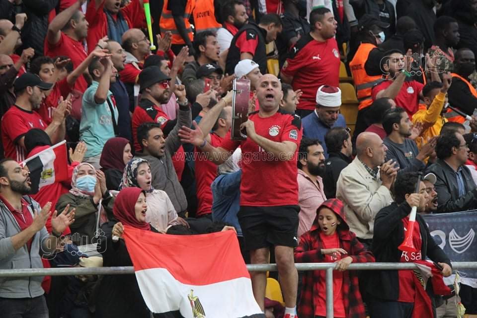 مصر والسنغال (1)