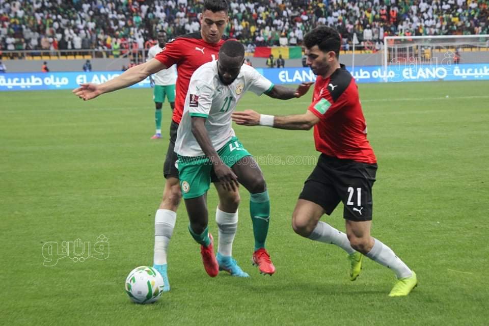 مصر والسنغال (5)