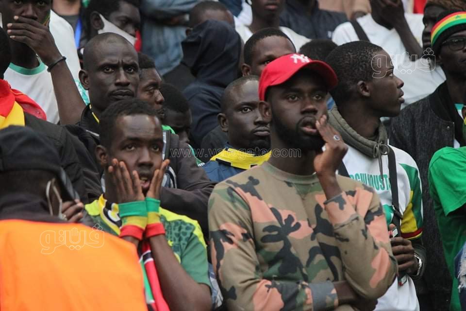 مصر والسنغال (6)