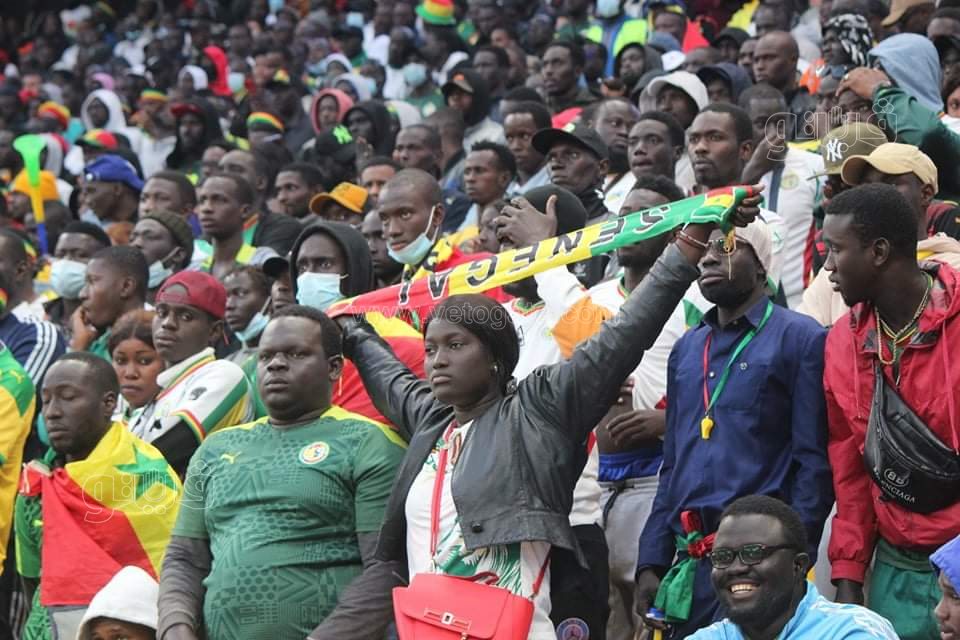 مصر والسنغال (12)