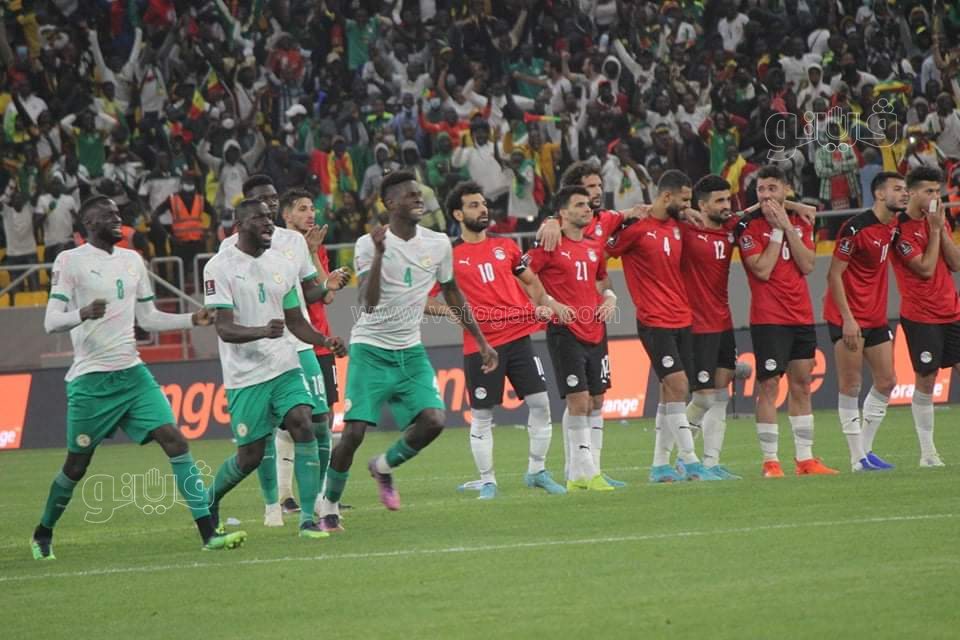 مصر والسنغال (11)