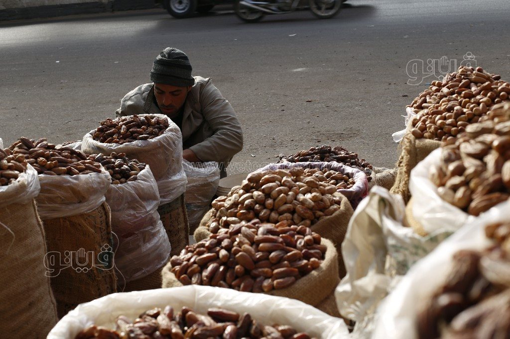 أسعار بلح الغلابة في سوق الساحل (4)