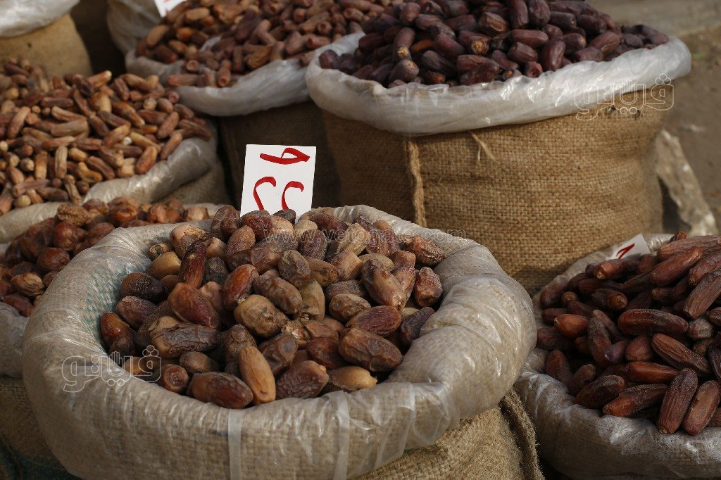 أسعار بلح الغلابة في سوق الساحل (5)