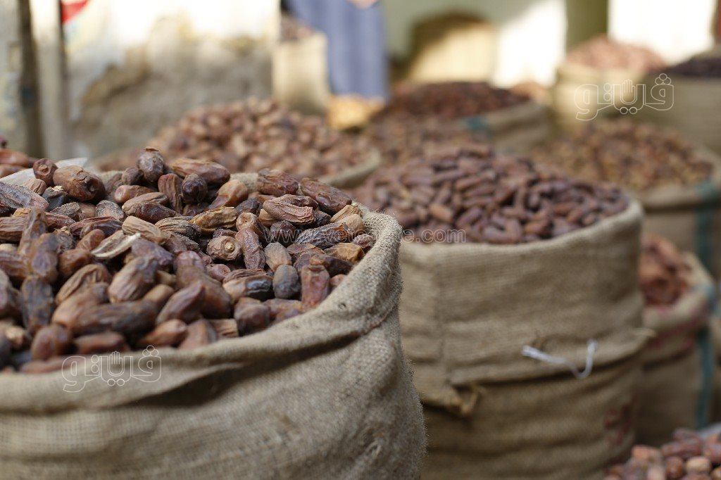 أسعار بلح الغلابة في سوق الساحل (6)