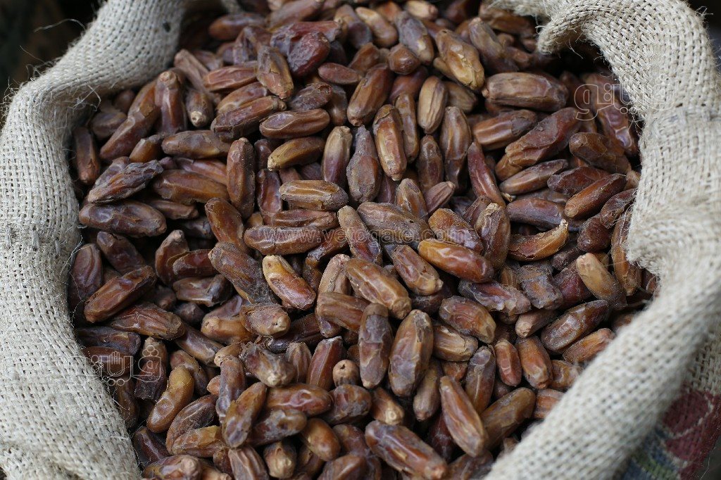 أسعار بلح الغلابة في سوق الساحل (7)