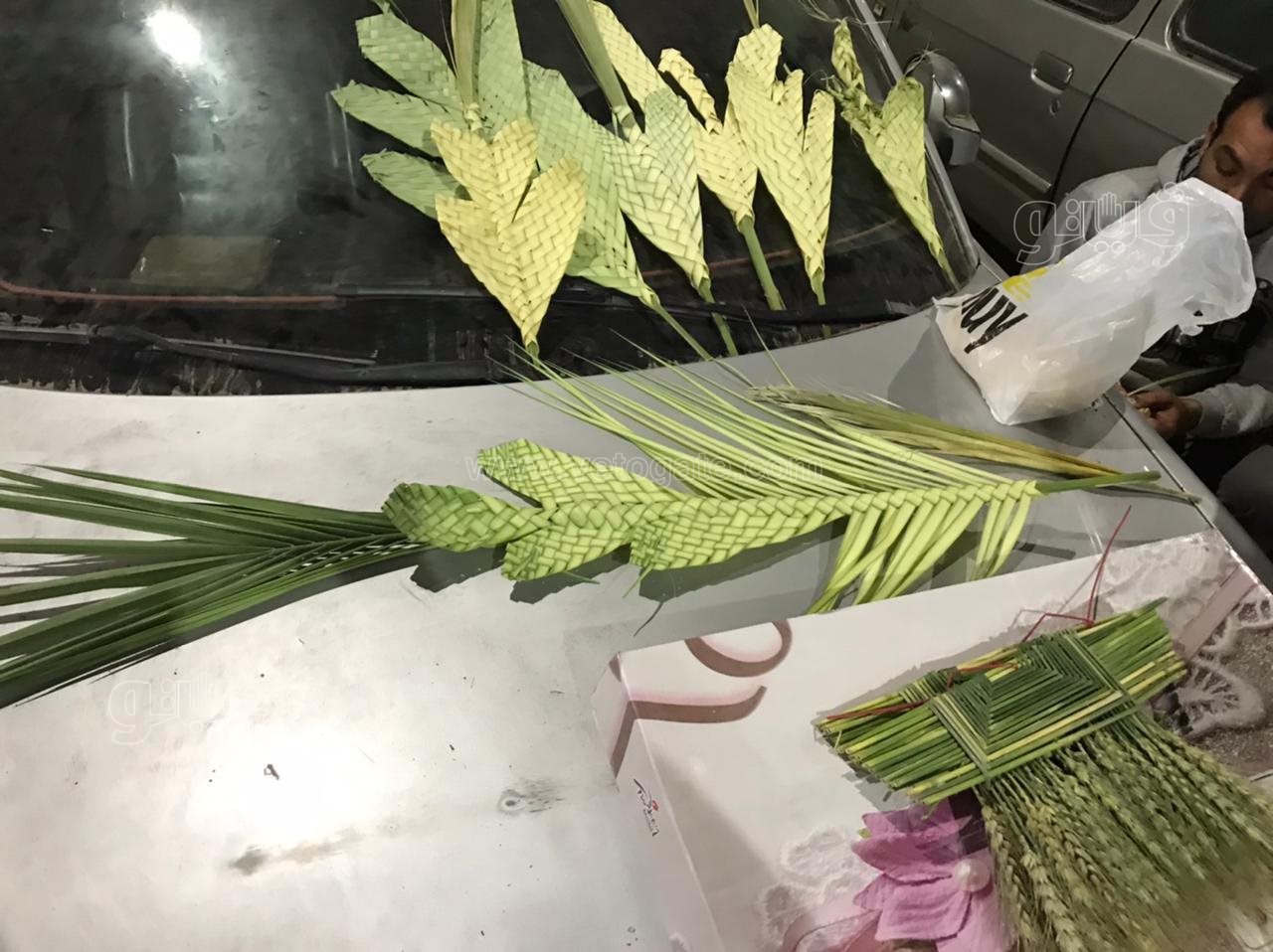  الكبير ب٢٠ والصغير ب١٠ انتشار سعف النخيل للاحتفال بأحد الشعانين (2)