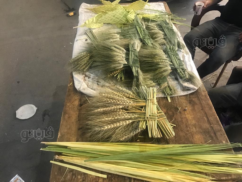  الكبير ب٢٠ والصغير ب١٠ انتشار سعف النخيل للاحتفال بأحد الشعانين (5)