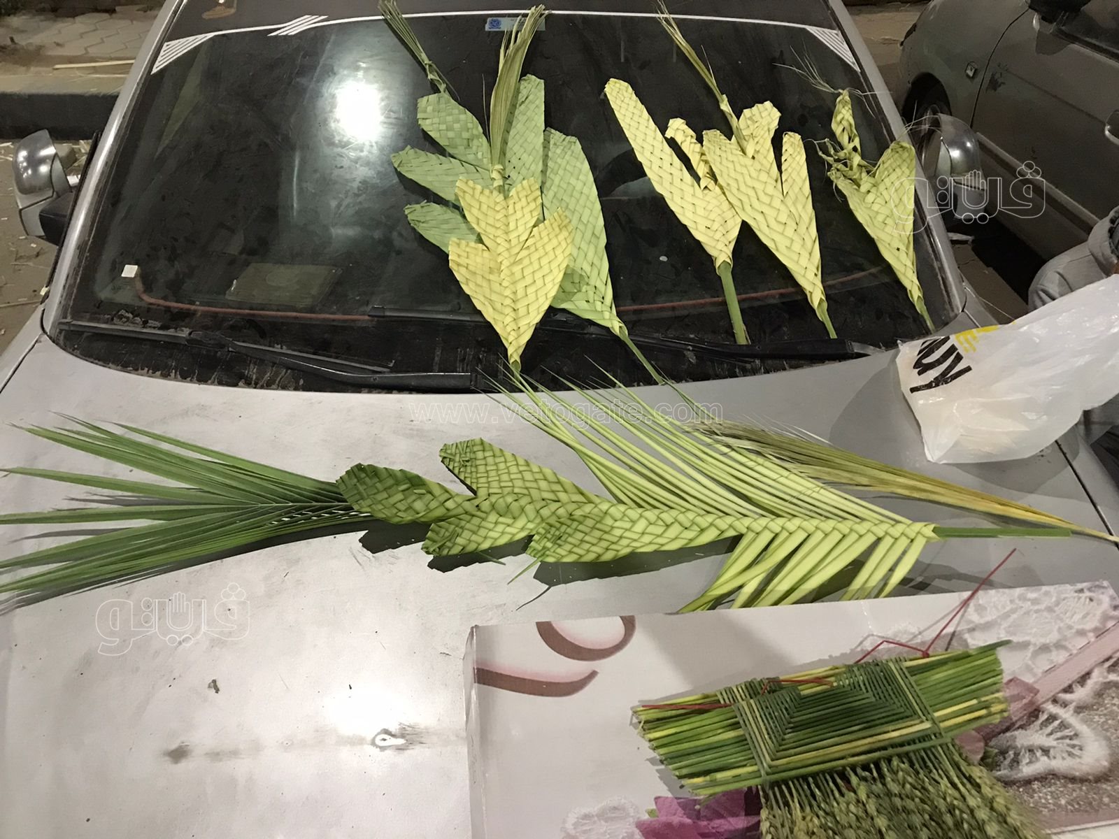  الكبير ب٢٠ والصغير ب١٠ انتشار سعف النخيل للاحتفال بأحد الشعانين (6)