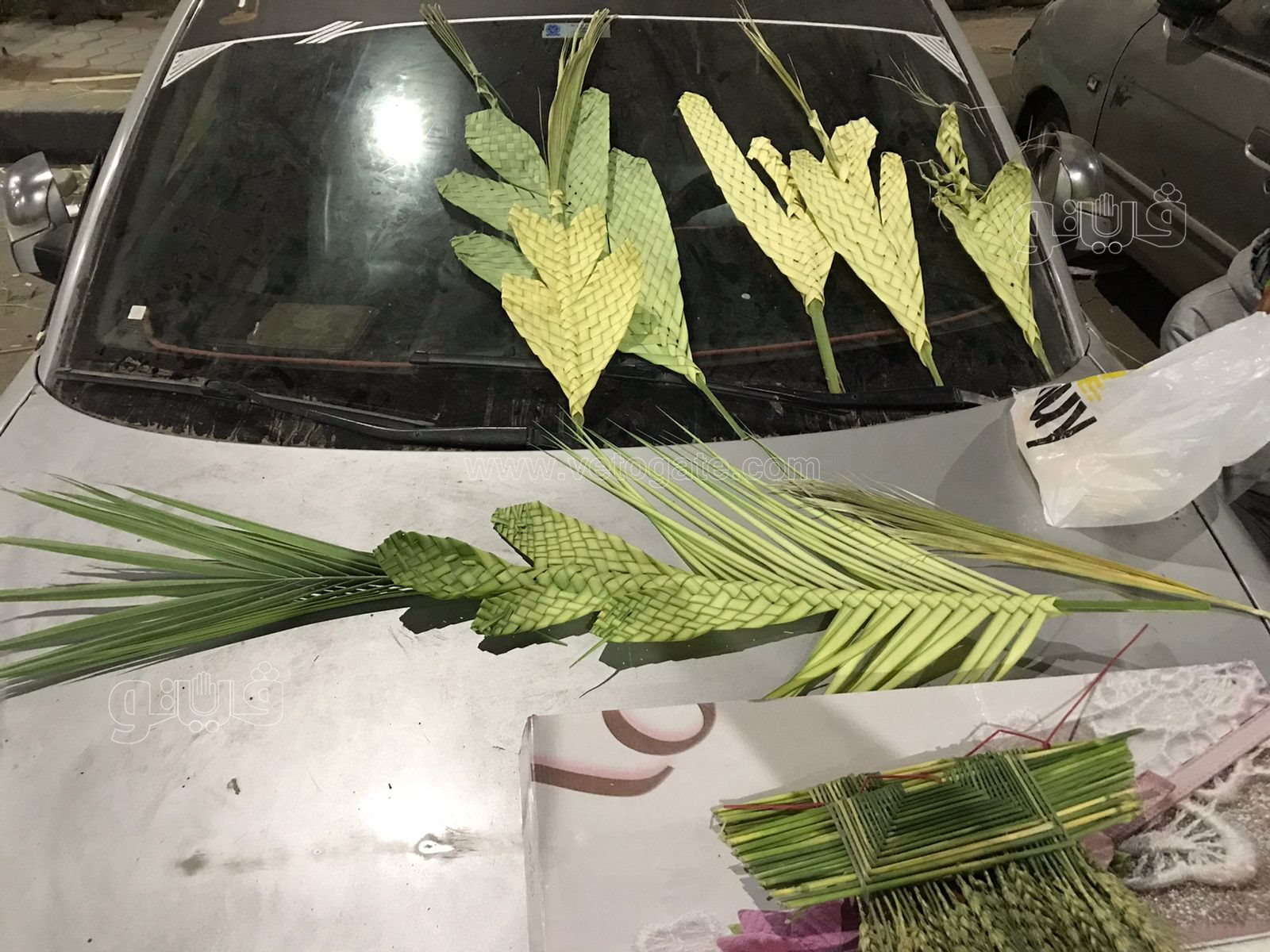  الكبير ب٢٠ والصغير ب١٠ انتشار سعف النخيل للاحتفال بأحد الشعانين (4)