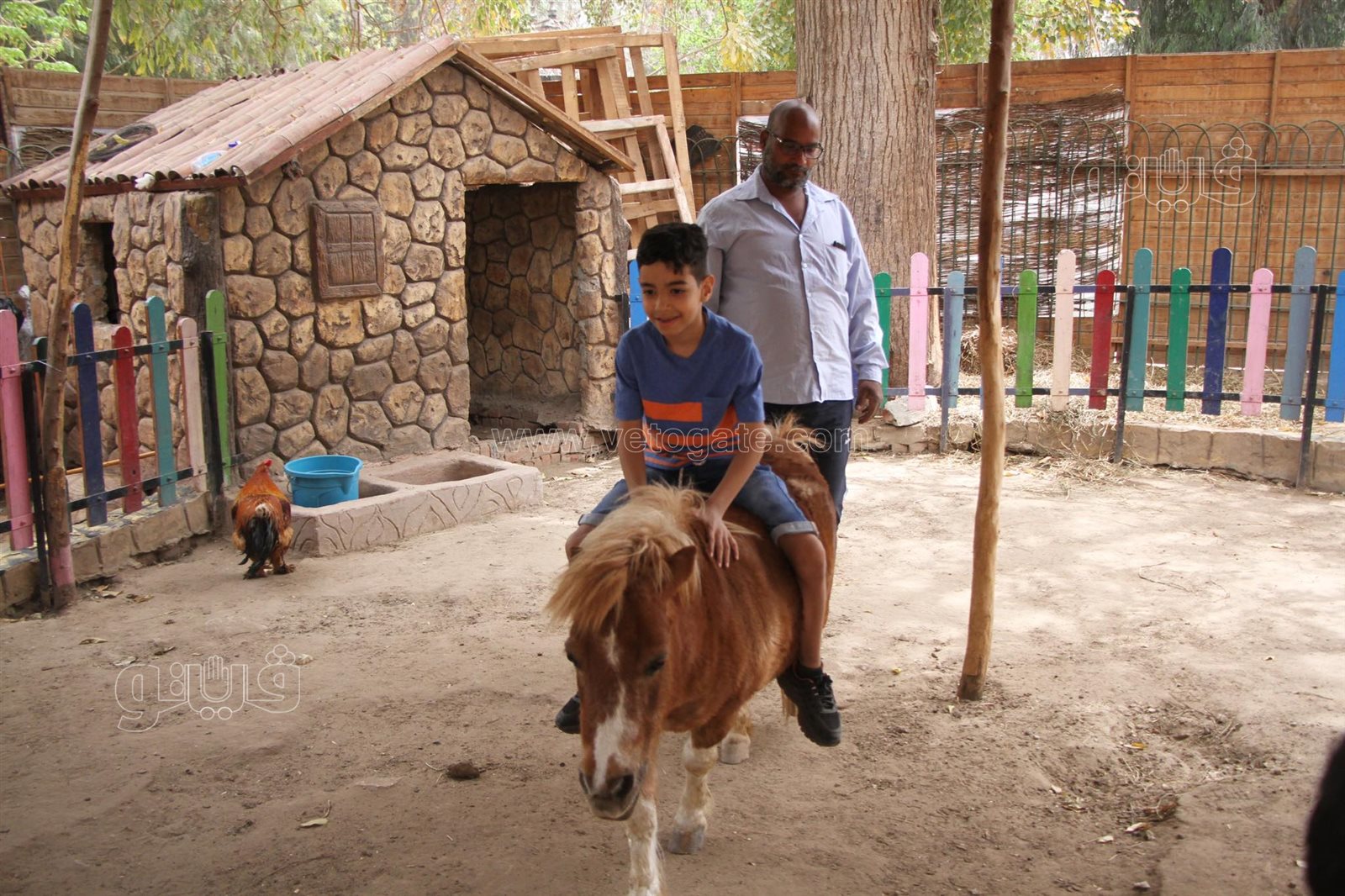 إقبال على حديقة الحيوان بالجيزة (3)