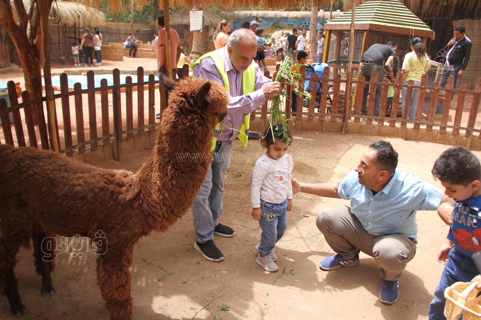 إقبال على حديقة الحيوان بالجيزة (7)