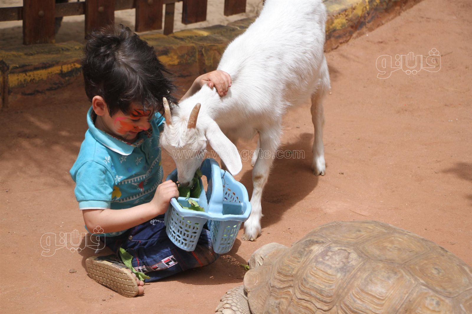 إقبال على حديقة الحيوان بالجيزة (10)