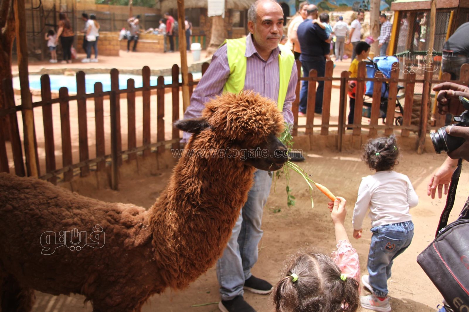 إقبال على حديقة الحيوان بالجيزة (11)