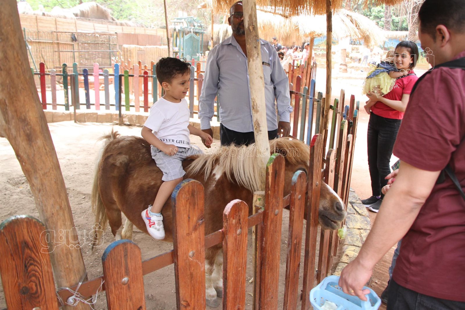 إقبال على حديقة الحيوان بالجيزة (20)