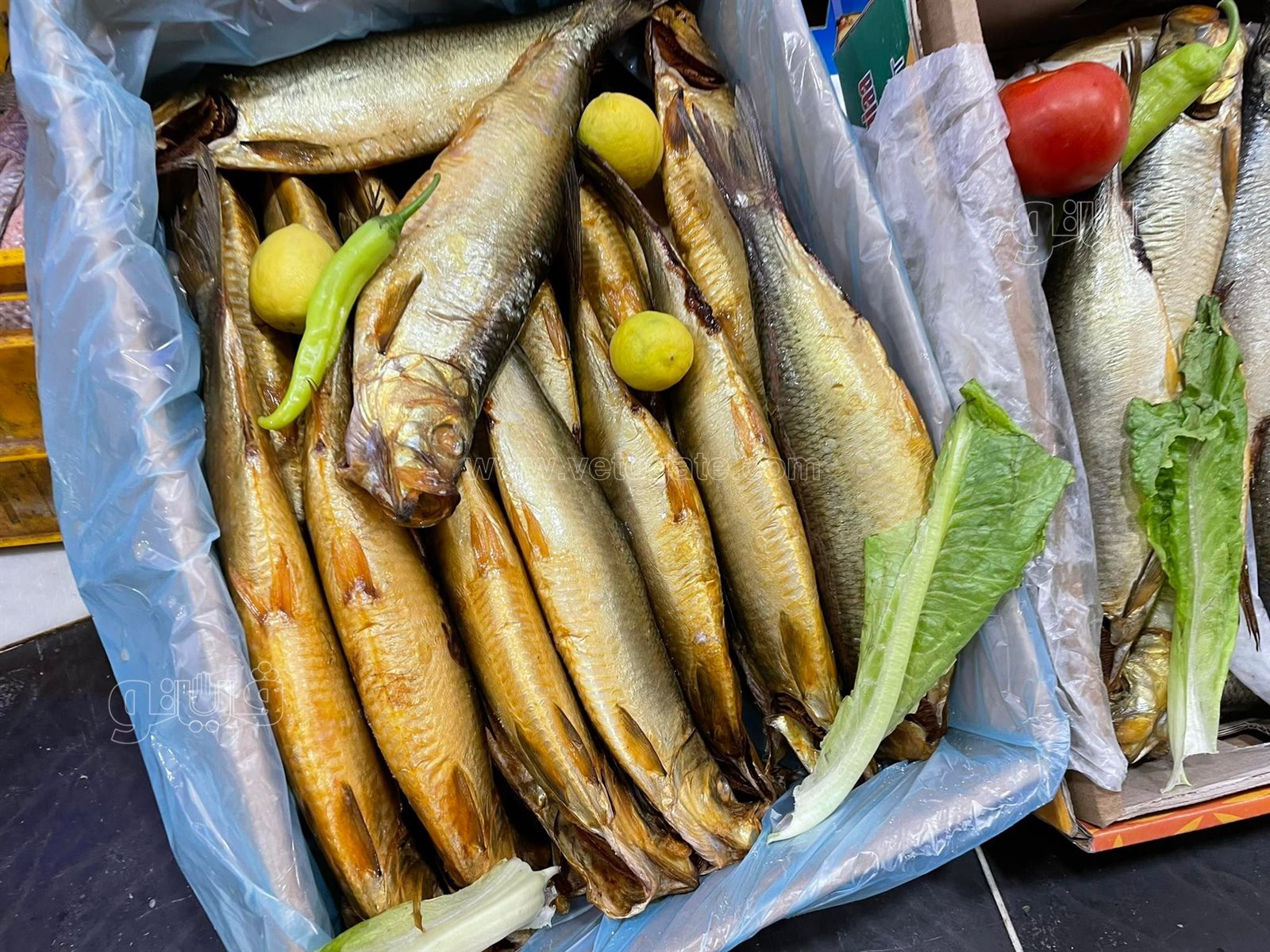 طرح الأسماك المملحة في المجمعات الاستهلاكية (1)