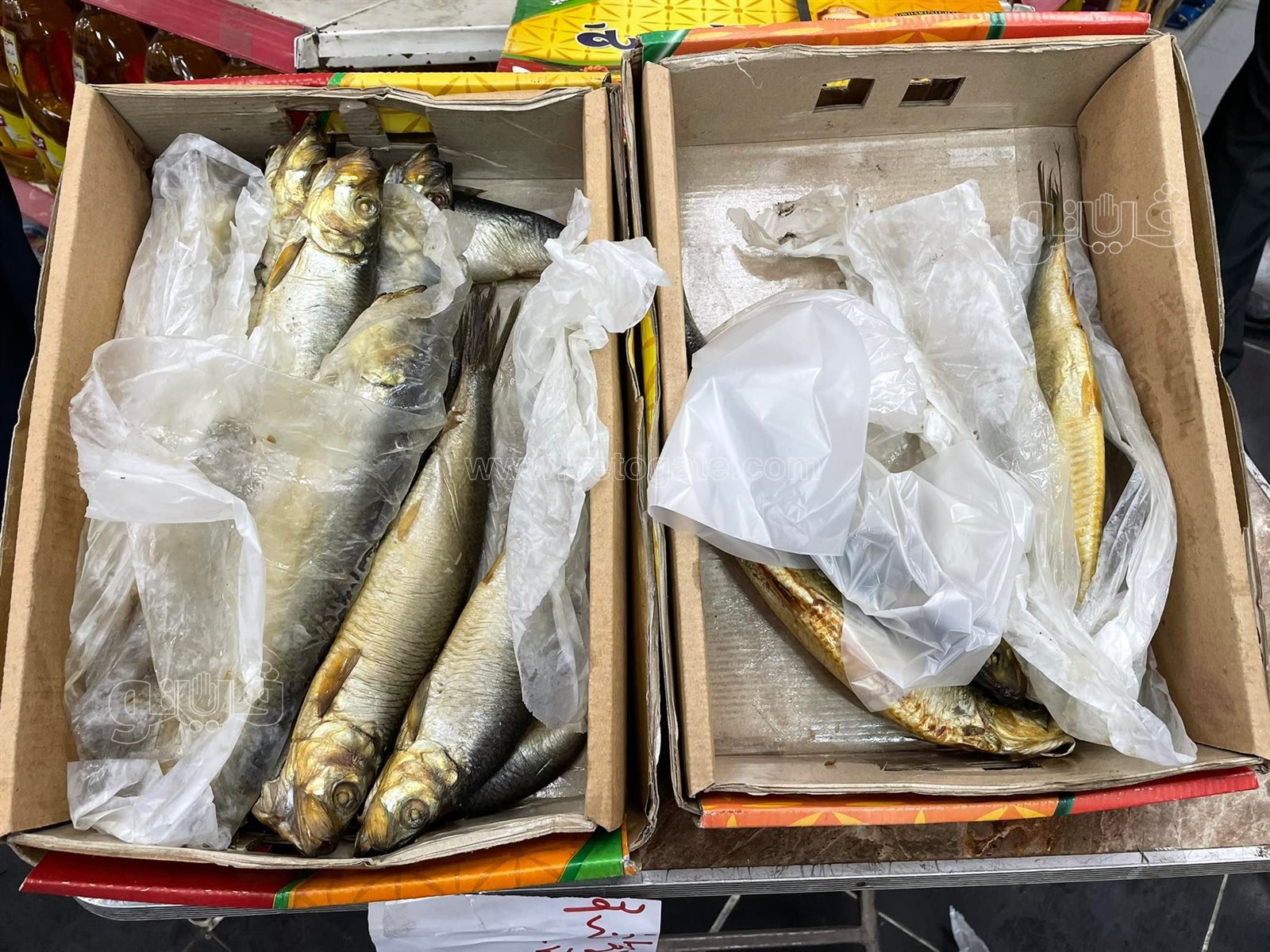 طرح الأسماك المملحة في المجمعات الاستهلاكية (2)