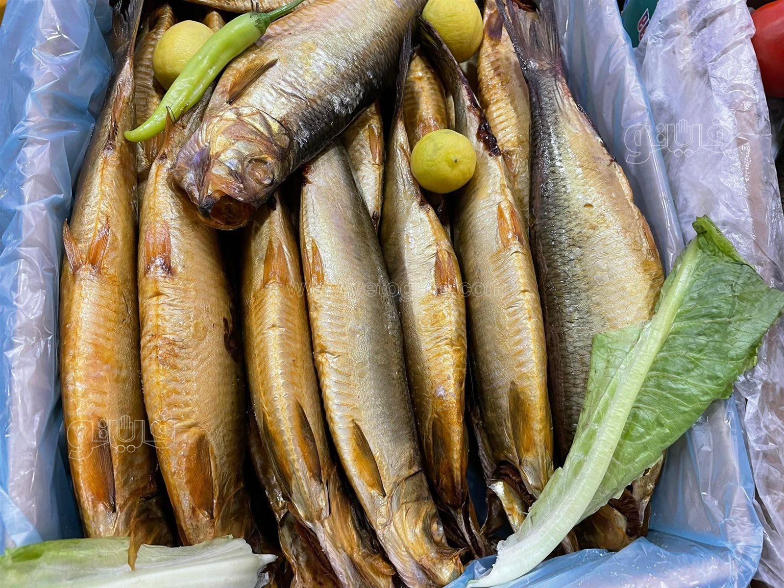 طرح الأسماك المملحة في المجمعات الاستهلاكية (3)