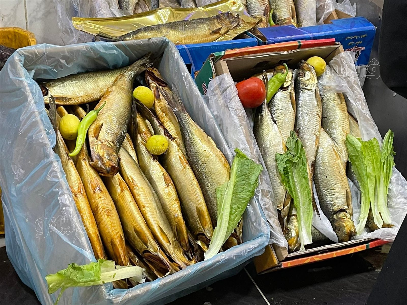 طرح الأسماك المملحة في المجمعات الاستهلاكية (5)