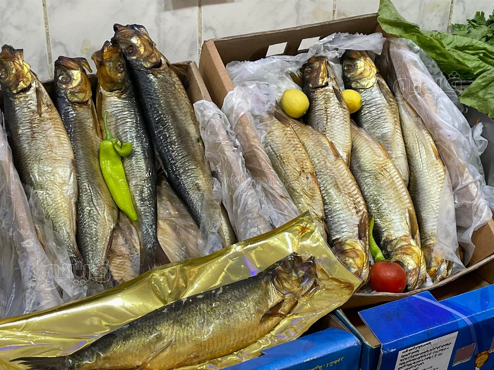 طرح الأسماك المملحة في المجمعات الاستهلاكية (6)