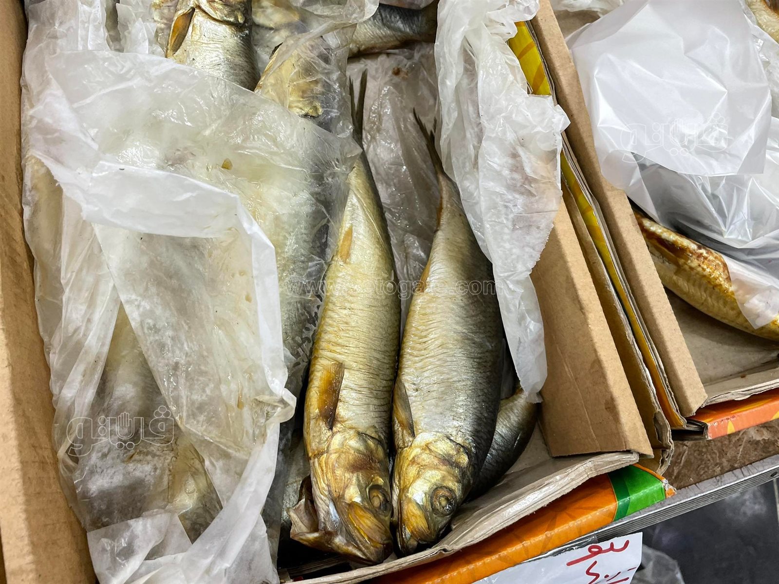 طرح الأسماك المملحة في المجمعات الاستهلاكية (7)