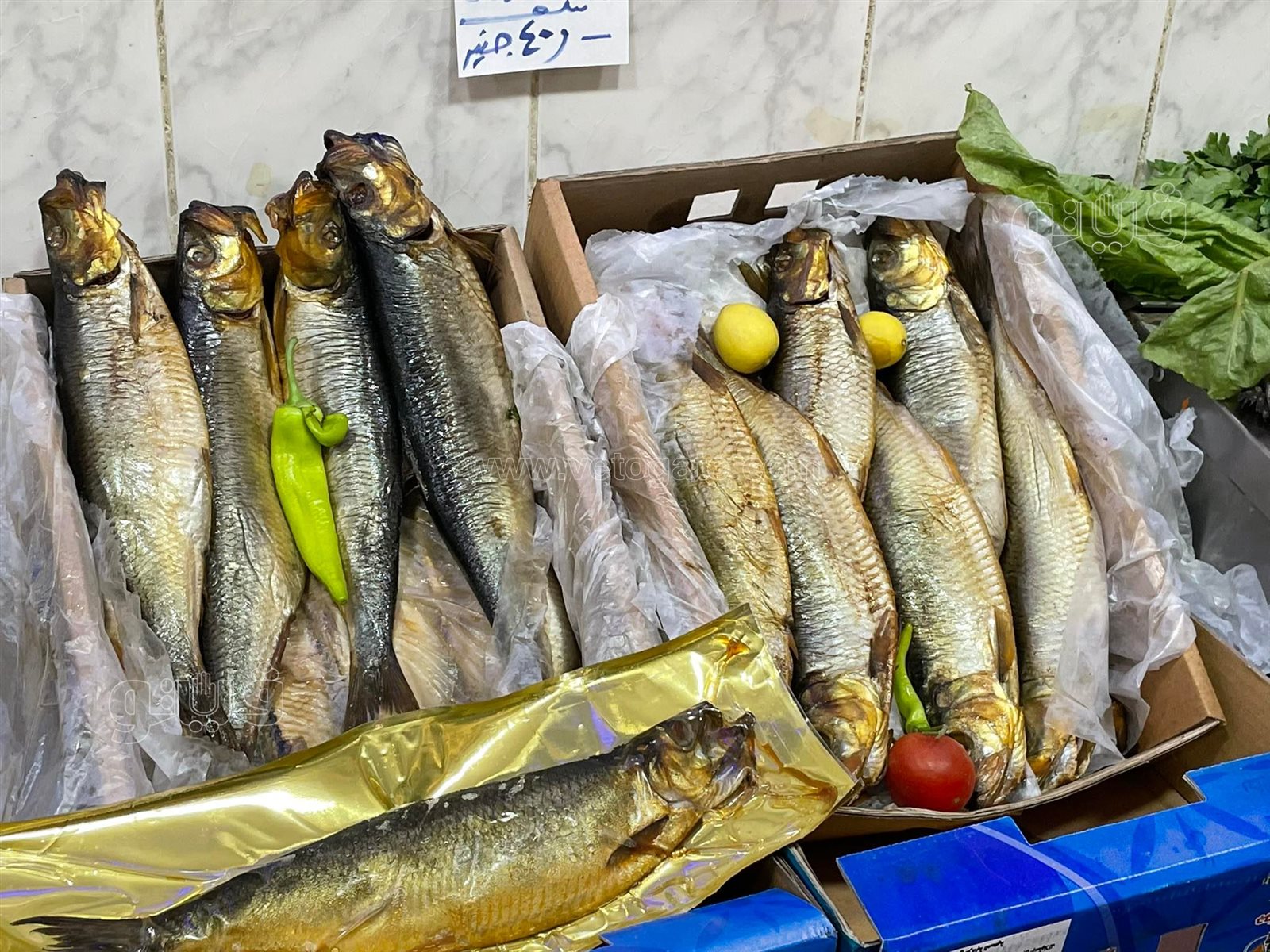 طرح الأسماك المملحة في المجمعات الاستهلاكية (8)