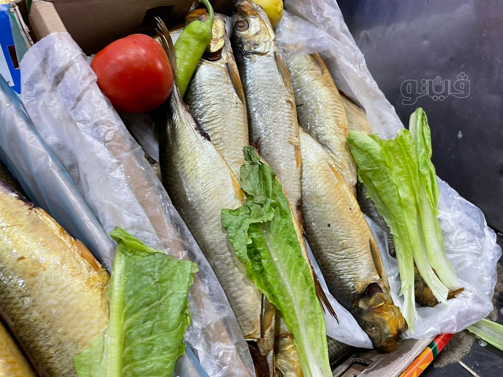 طرح الأسماك المملحة في المجمعات الاستهلاكية (9)