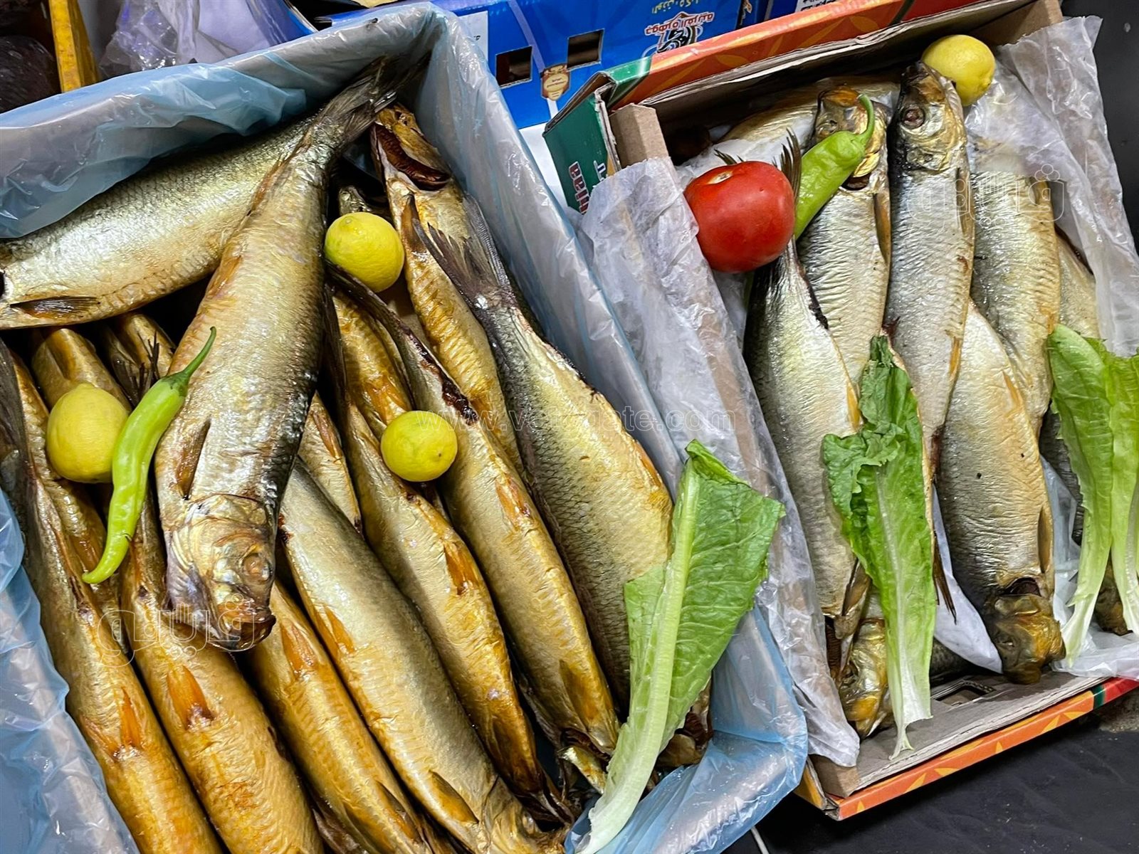 طرح الأسماك المملحة في المجمعات الاستهلاكية (11)