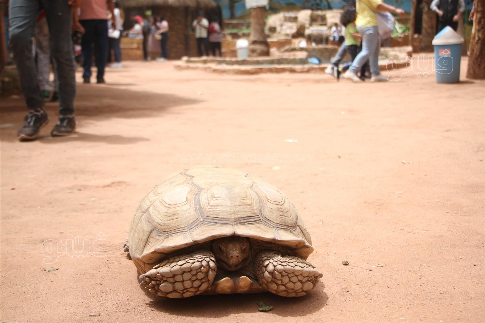 إقبال على حديقة الحيوان بالجيزة (22)