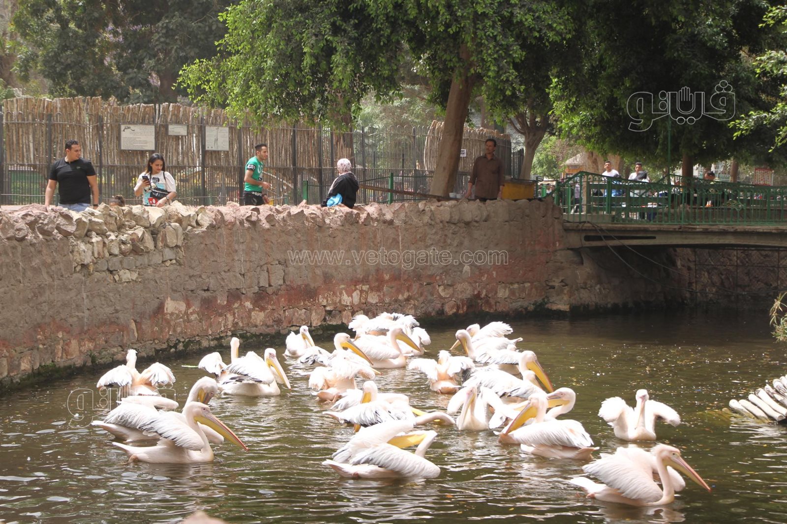 إقبال على حديقة الحيوان بالجيزة (16)