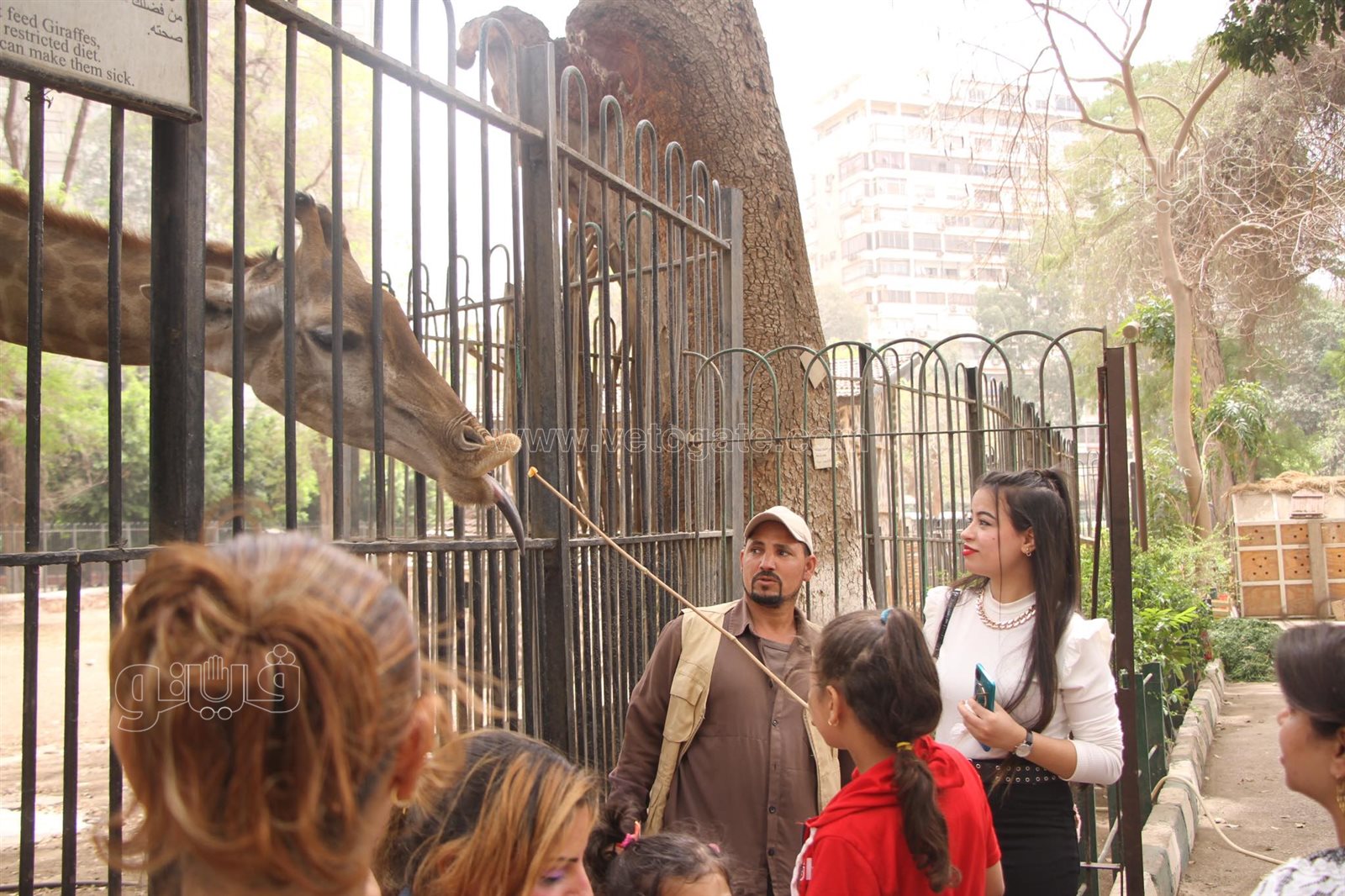 إقبال على حديقة الحيوان بالجيزة (17)