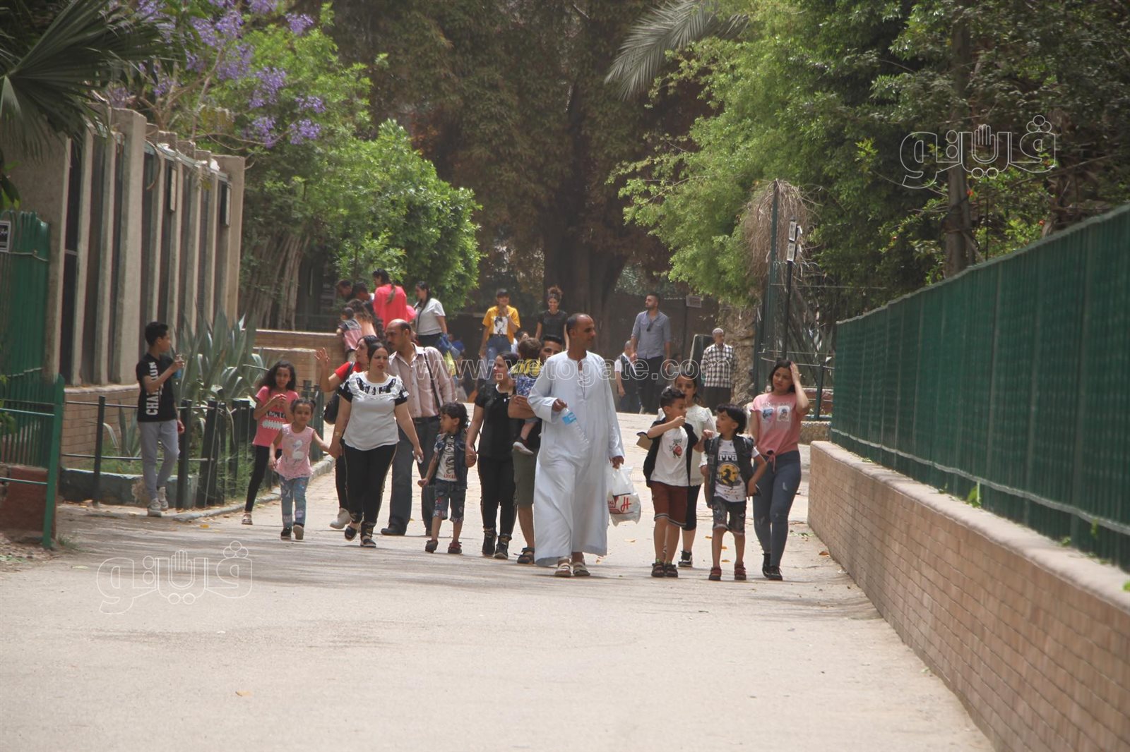 إقبال على حديقة الحيوان بالجيزة (18)