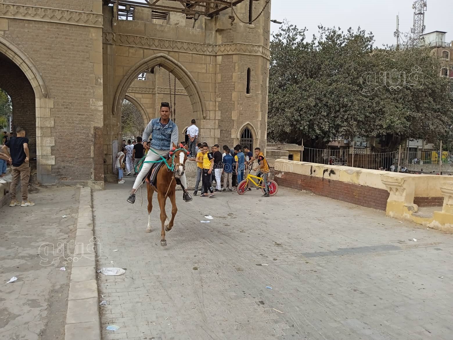 الأطفال والمراهقون يتوافدون على القناطر الخيرية (19)