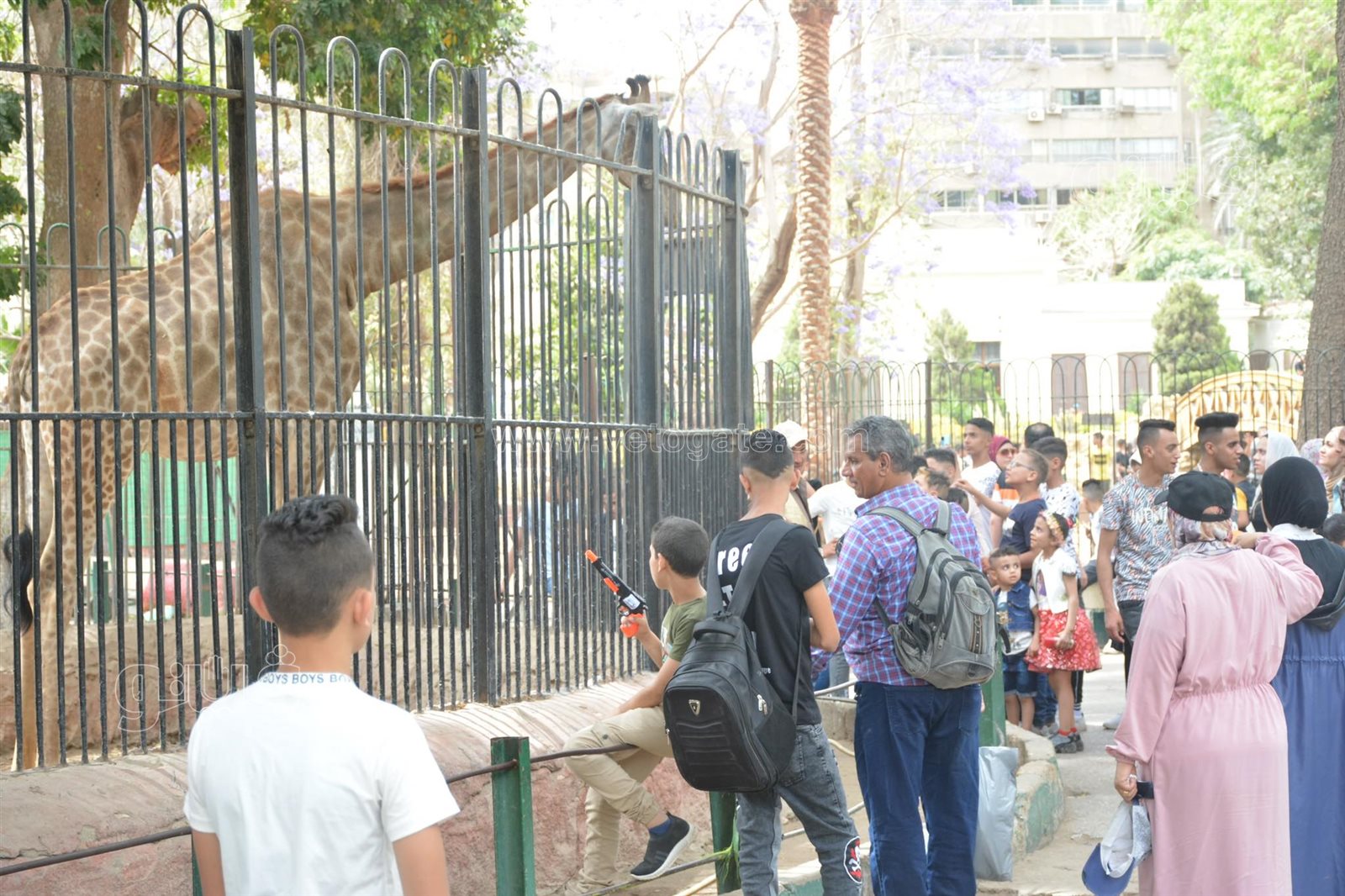  إقبال ملحوظ من المواطنين على حديقة حيوان الجيزة (3)