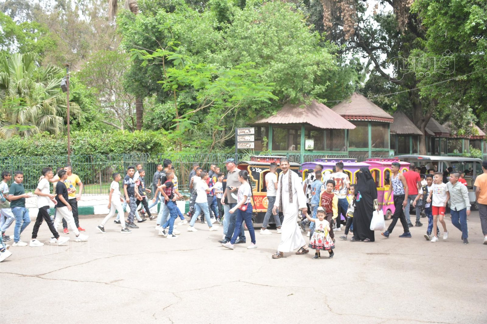  إقبال ملحوظ من المواطنين على حديقة حيوان الجيزة (4)