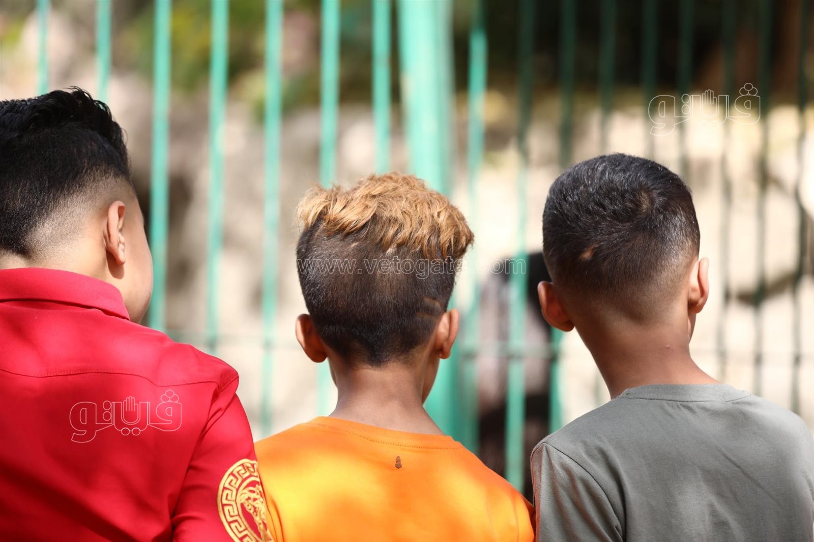  إقبال ملحوظ من المواطنين على حديقة حيوان الجيزة (6)