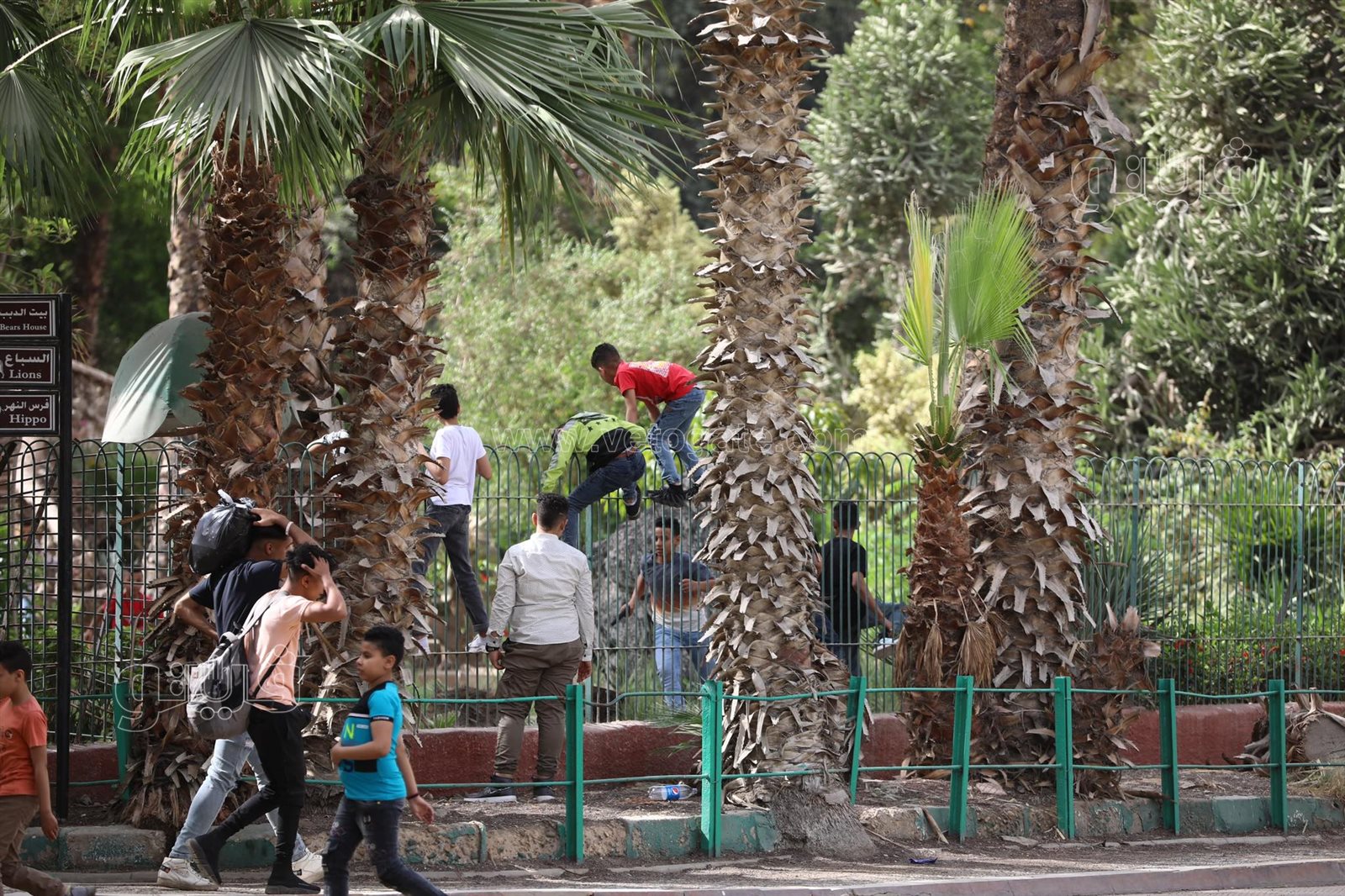  إقبال ملحوظ من المواطنين على حديقة حيوان الجيزة (7)