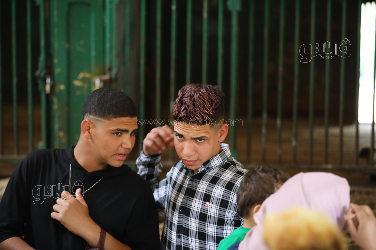  إقبال ملحوظ من المواطنين على حديقة حيوان الجيزة (8)