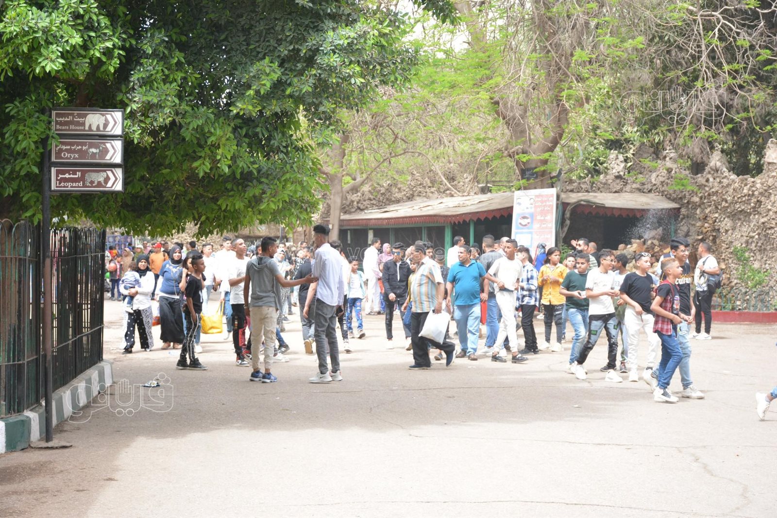  إقبال ملحوظ من المواطنين على حديقة حيوان الجيزة (9)