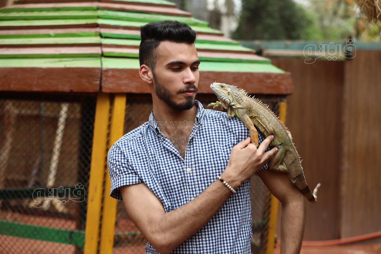  إقبال ملحوظ من المواطنين على حديقة حيوان الجيزة (12)