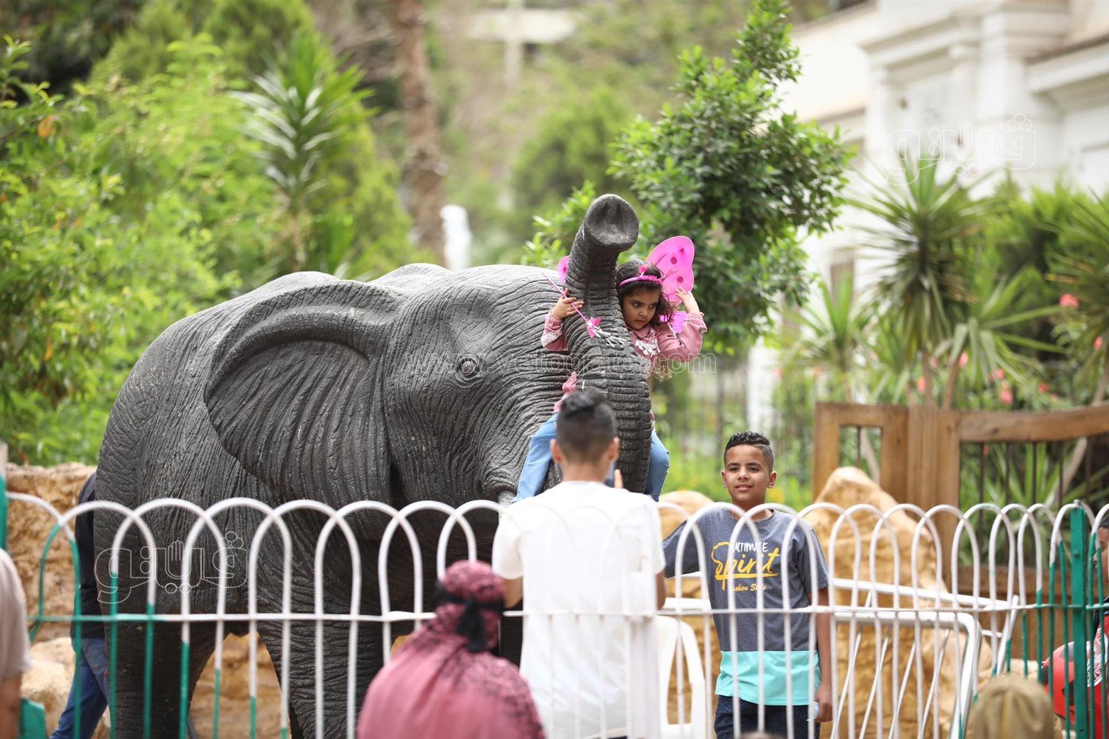  إقبال ملحوظ من المواطنين على حديقة حيوان الجيزة (13)