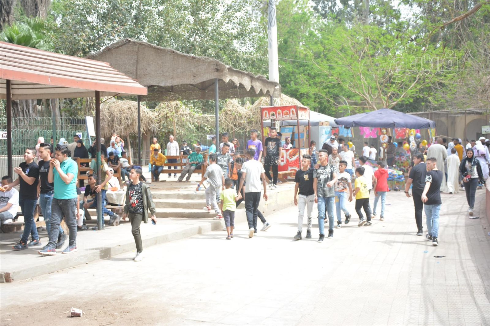  إقبال ملحوظ من المواطنين على حديقة حيوان الجيزة (18)