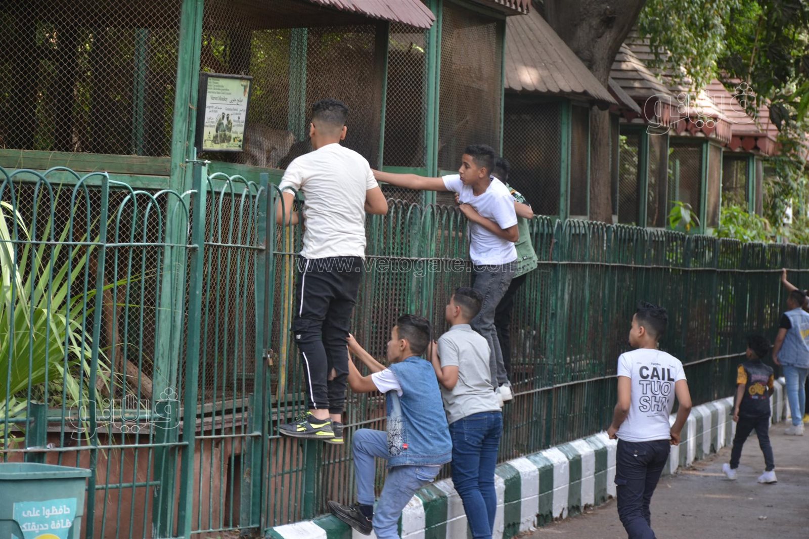  إقبال ملحوظ من المواطنين على حديقة حيوان الجيزة (20)