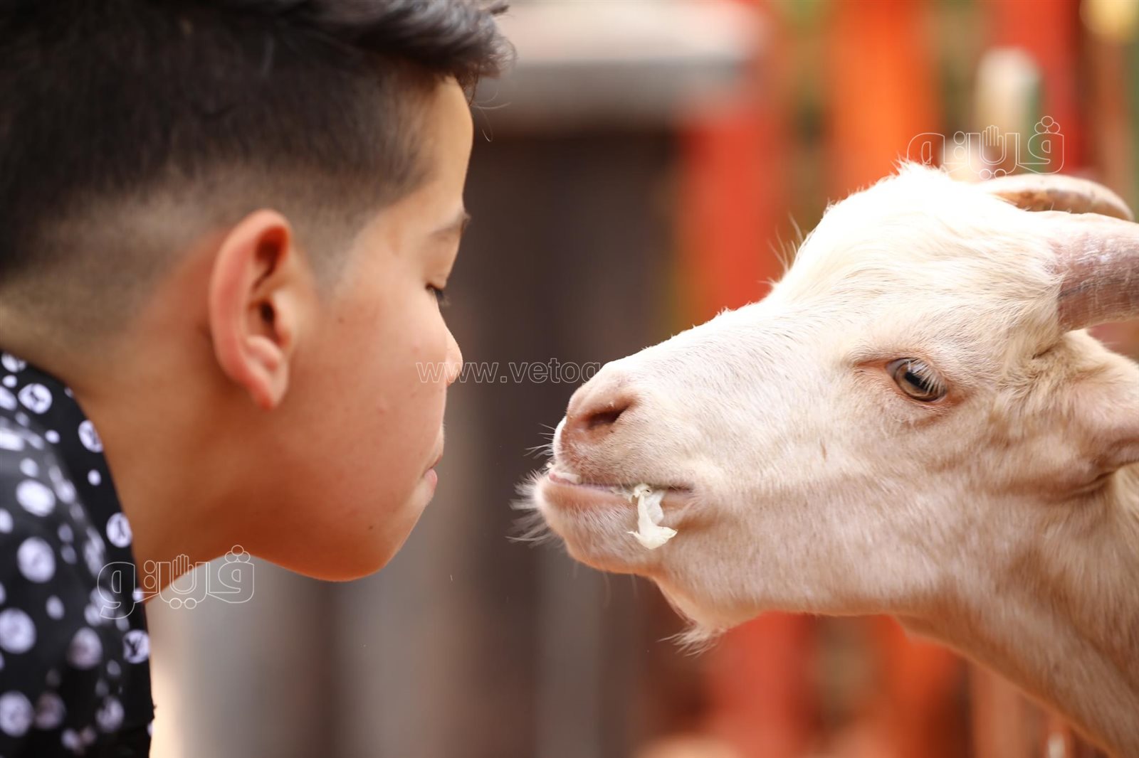  إقبال ملحوظ من المواطنين على حديقة حيوان الجيزة (23)