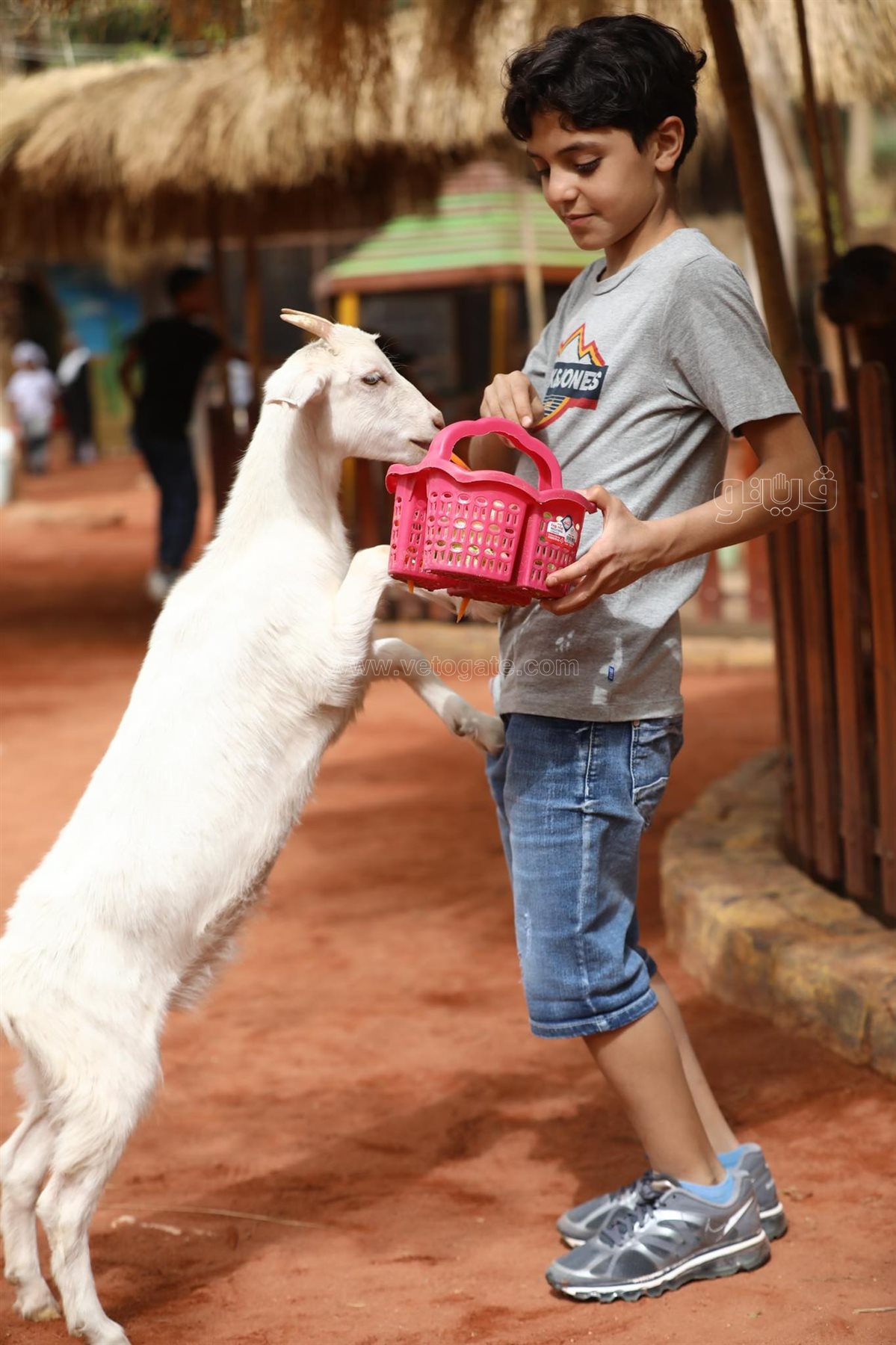  إقبال ملحوظ من المواطنين على حديقة حيوان الجيزة (24)