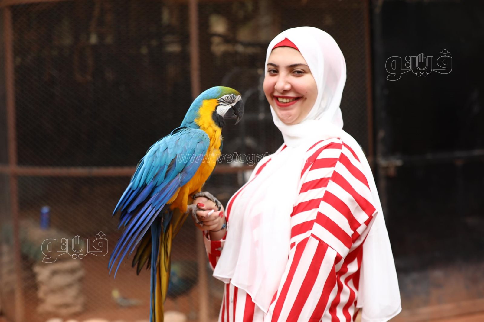  إقبال ملحوظ من المواطنين على حديقة حيوان الجيزة (29)