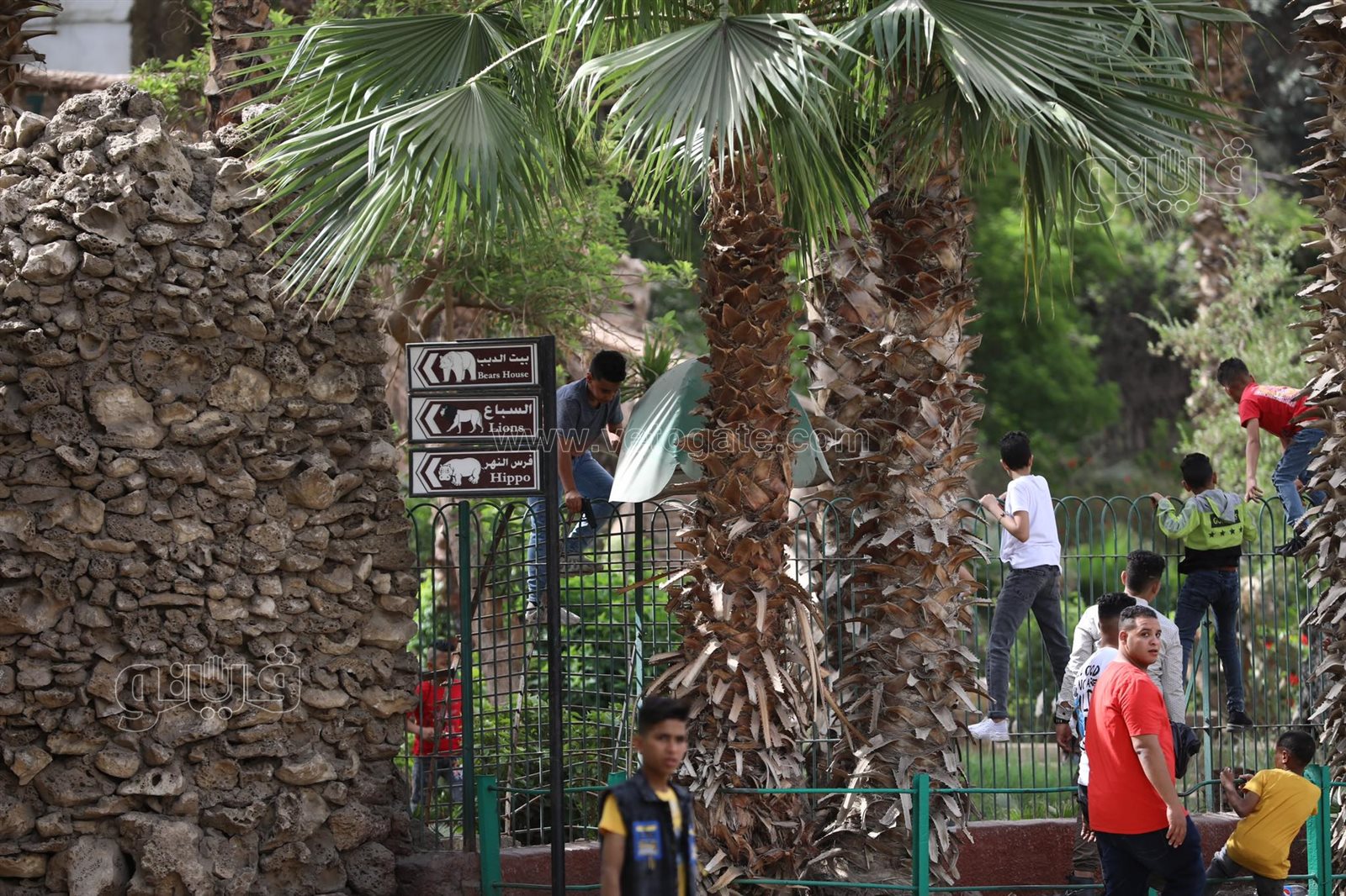  إقبال ملحوظ من المواطنين على حديقة حيوان الجيزة (30)