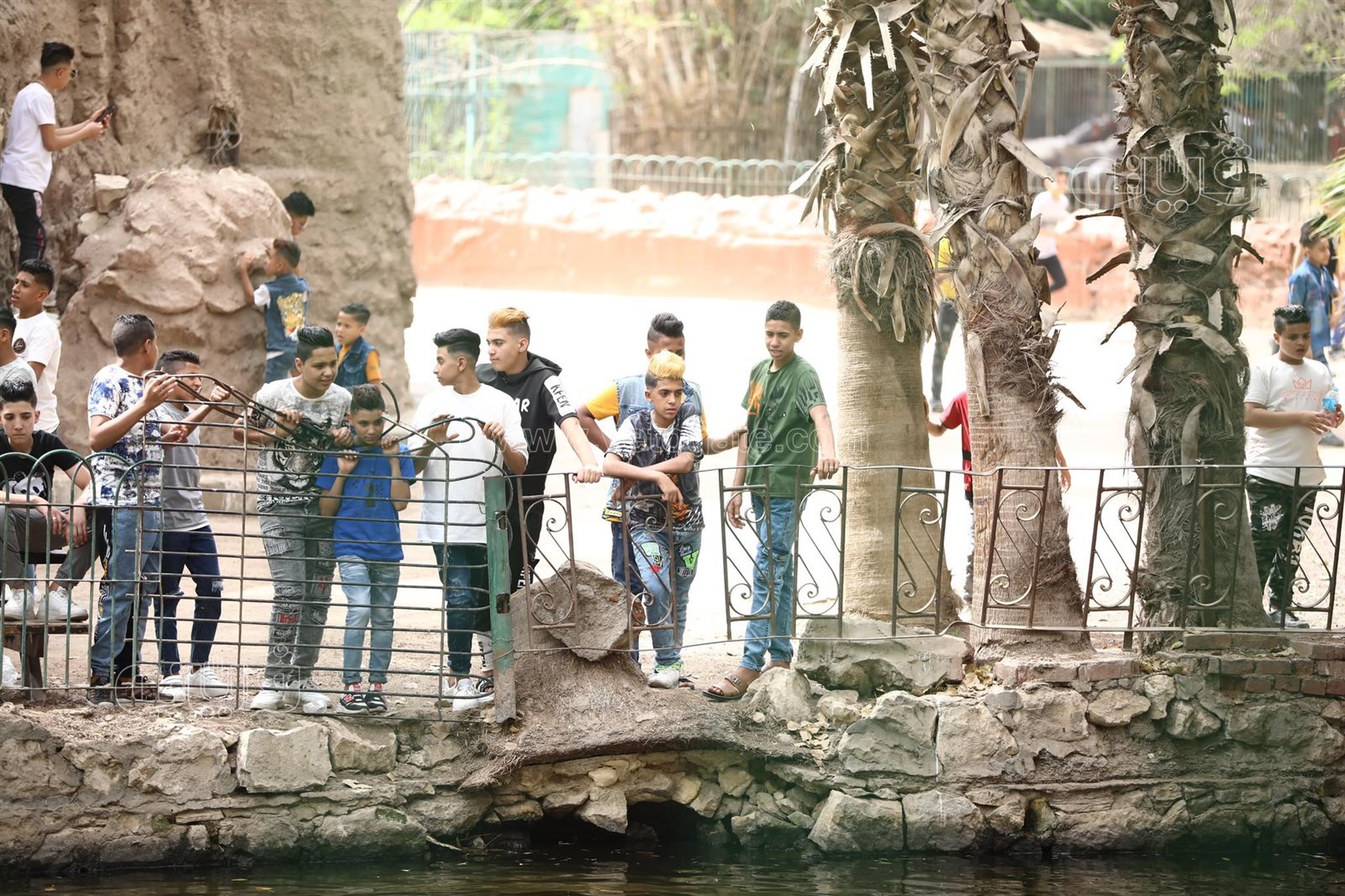  إقبال ملحوظ من المواطنين على حديقة حيوان الجيزة (32)