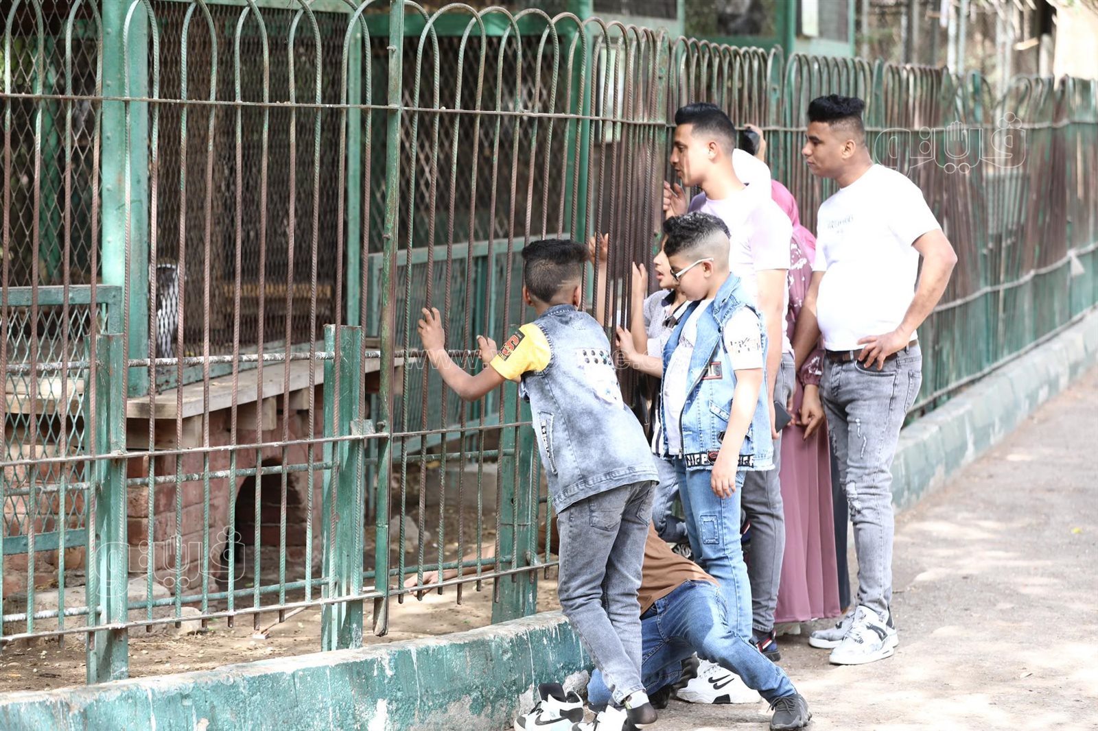  إقبال ملحوظ من المواطنين على حديقة حيوان الجيزة (34)